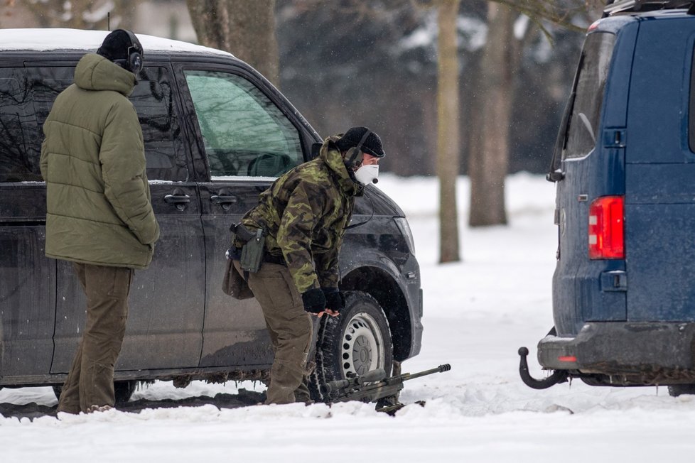 V Hradci Králové utekly krávy. Policisté je naháněli se samopaly, jednu zastřelili.