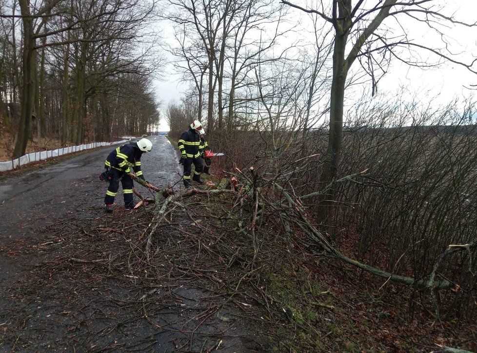 Vítr v Hradci Králové především lámal stromy. (11.2.2020)