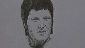 Pachatelkou se ukázala být zdravotní sestra (23) z Chrudimi.