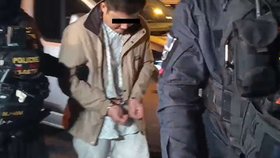 Soud v H. Králové poslal do vazby cizince, který podle policie útočil v pátek v obchodním centru.