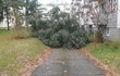 Škody způsobené větrem v Hradci Králové na Slezském Předměstí