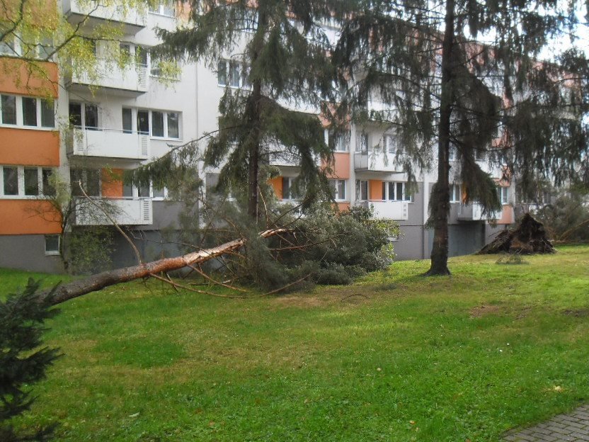 Škody způsobené větrem v Hradci Králové na Slezském Předměstí