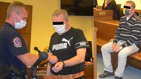 Bratři Michal a David před soudem kvůli údajnému zneužívání a znásilňování nevlastních dcer.