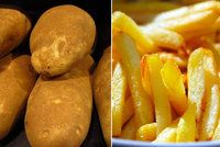 Hrozí nedostatek hranolek? Oblíbenou odrůdu brambor ohrožuje počasí, hledá se náhrada