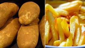 Nejlepší hranolky pocházejí z odrůdy brambor Russet Burbank.