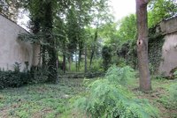 Zapomenutý hřbitov v Bubenči se dočká nového využití. Vznikne zde zahrada ticha?