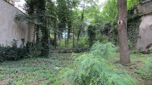 Zapomenutý hřbitov v Bubenči se dočká nového využití. Vznikne zde zahrada ticha?