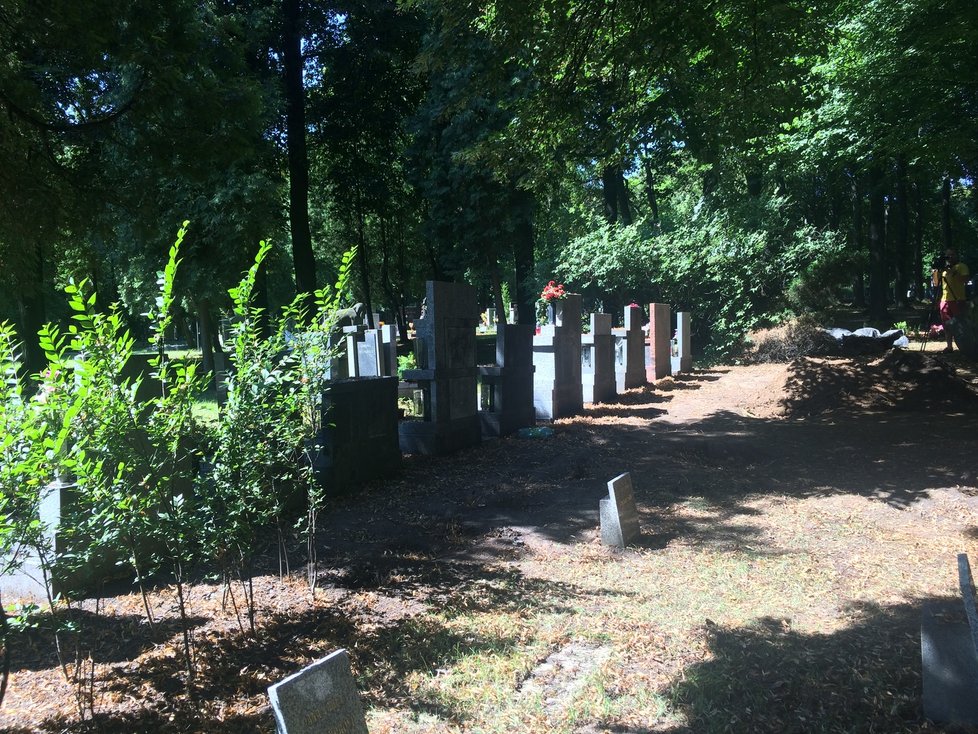 Archeologickou sondou bylo objeveno 12 rakví. Ani jedna z nich neobsahovala ostatky Zdeny Mašínové.