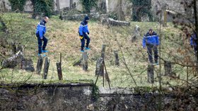 Policisté zatkli pět mladíků ve věku 15 až 17 let, kteří znesvětili asi 250 náhrobků na židovském hřbitově ve východní Francii.
