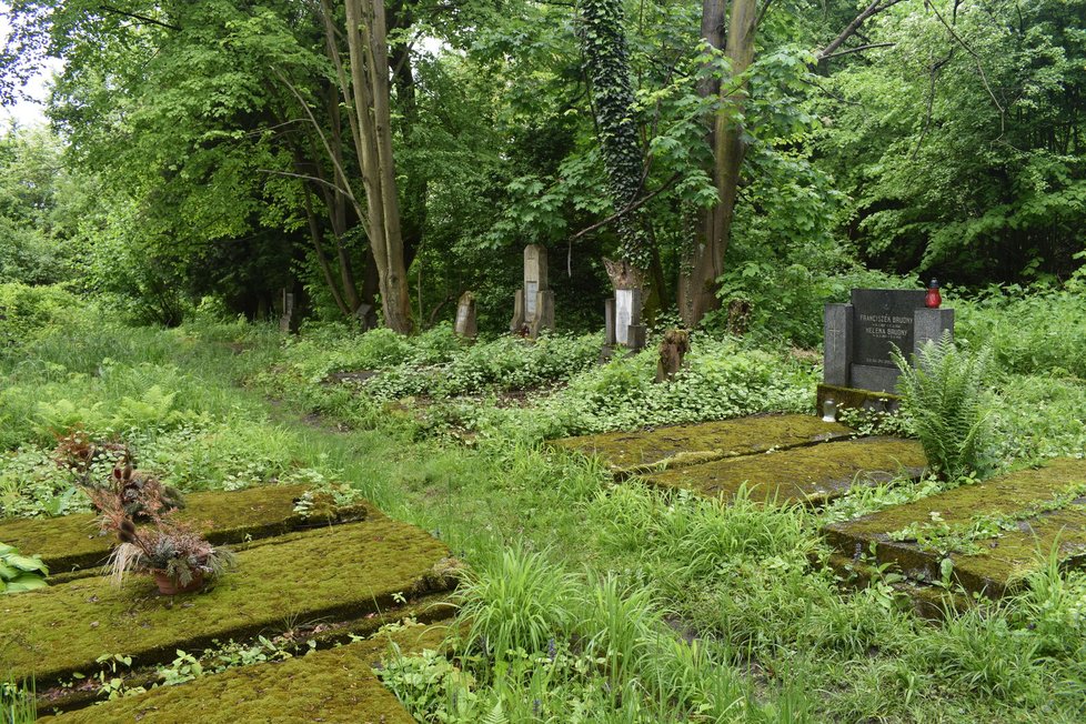 Dobrovolníci zapomenutý hřbitov obnovují už přes pět let.