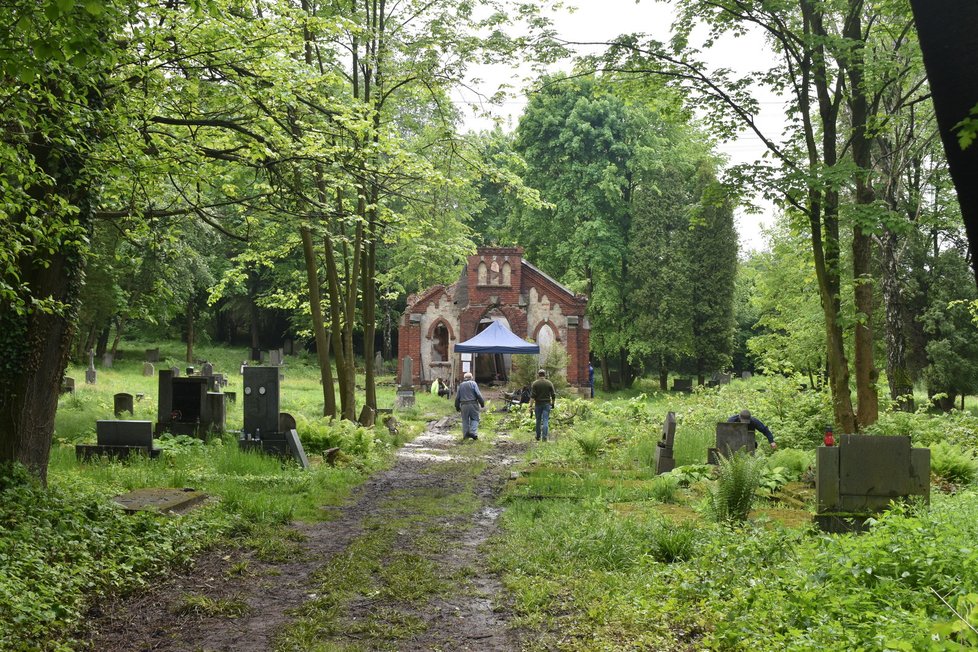 Dobrovolníci zapomenutý hřbitov obnovují už přes pět let.