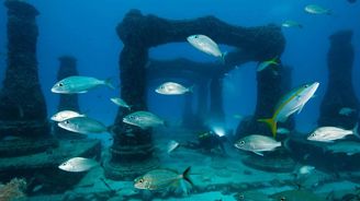 Neptunův útes vzpomínek: Podvodní hřbitov vytváří život po životě