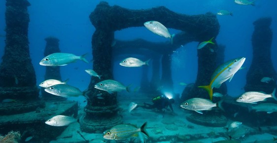 Neptunův útes vzpomínek: Podvodní hřbitov vytváří život po životě