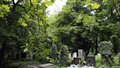 Olšanský hřbitov je velmi rozlehlý, senior měl tak velké štěstí, že ho strážníci našli