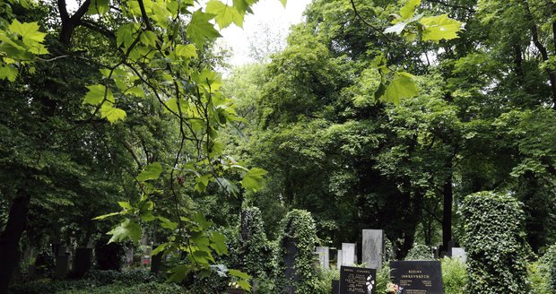 Olšanský hřbitov je velmi rozlehlý, senior měl tak velké štěstí, že ho strážníci našli