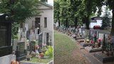 Hřbitovy v Praze oznámkují jako restaurace: Odpočívej v pokoji a v I. cenové!