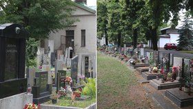 Magistrát od července rozdělí pražské hřbitovy do čtyř kategorií podle poskytovaných služeb.