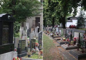 Magistrát od července rozdělí pražské hřbitovy do čtyř kategorií podle poskytovaných služeb.