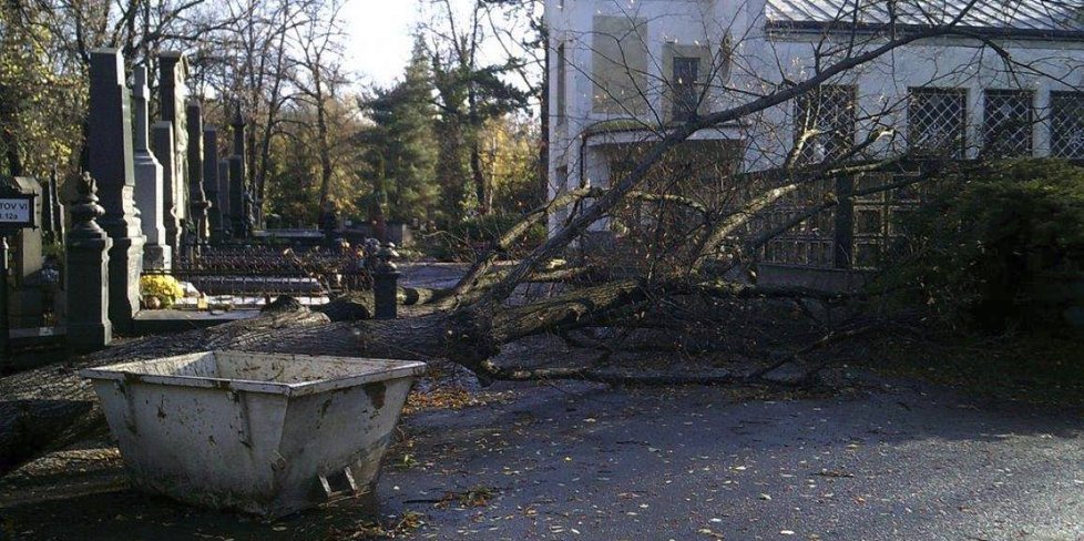 Vichr lámal stromy i na pražských hřbitovech.