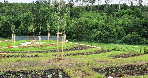 Údolí vzpomínek v Brně-Líšni je prvním pohřebištěm na Moravě a druhým v ČR, kde lze pochovat nebožtíka do louky nebo ke kořenům stromů.