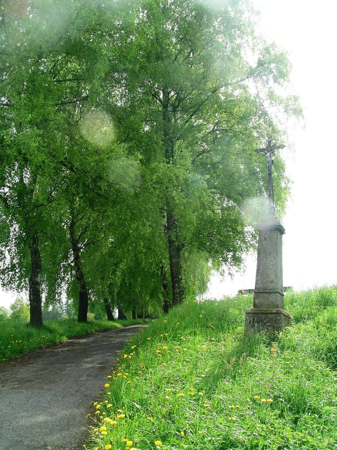 Cesta k hřbitovu.