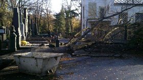 Nedělní vichřice způsobila škody i na některých pražských hřbitovech.