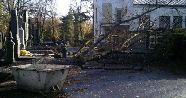 Nedělní vichřice způsobila škody i na některých pražských hřbitovech.