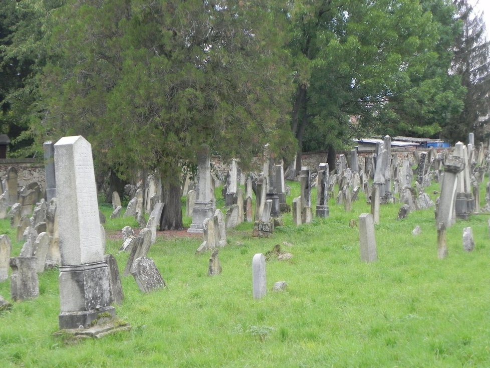 Bezdomovecký hřbitov funguje virtuálně, lidé na něm mohou upozorňovat na úmrtí lidí bez přístřeší a naposledy se rozloučit. (Ilustrační foto)