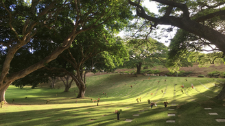 Terramace a pietní biocentra: Budoucnost hřbitovů je zelená Terramace a pietní biocentra: Budoucnost hřbitovů je zelená