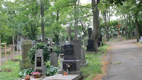 Pražský magistrát od července rozdělil pražské hřbitovy do čtyř kategorií podle poskytovaných služeb.