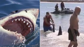 Hrdina, který od dětí odtáhl žraloka, dostal vyhazov