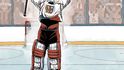 Ukázky z knihy Hrdinové 2: Největší příběhy českého hokeje