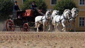 Hřebčín Kladruby