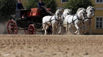 Hřebčín Kladruby se loni vymanil ze ztráty