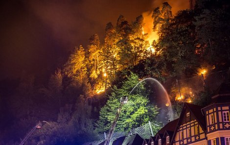 Oheň zničil 1000 hektarů parku.