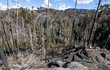 Oheň spálil území o rozloze zhruba 1060 hektarů.