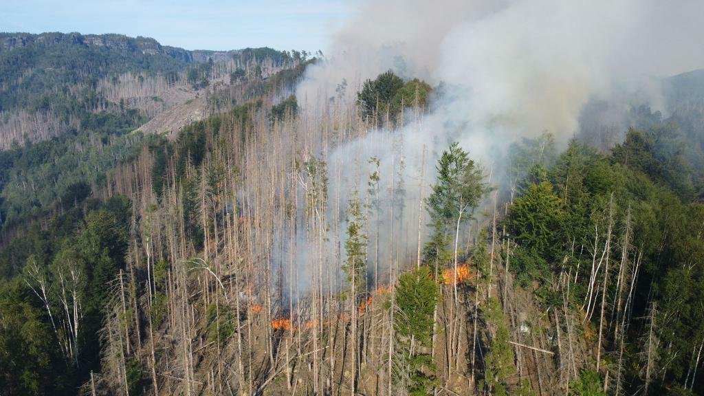 Požár v Národním parku České Švýcarsko u Hřenska na Děčínsku. (24.7.2022)