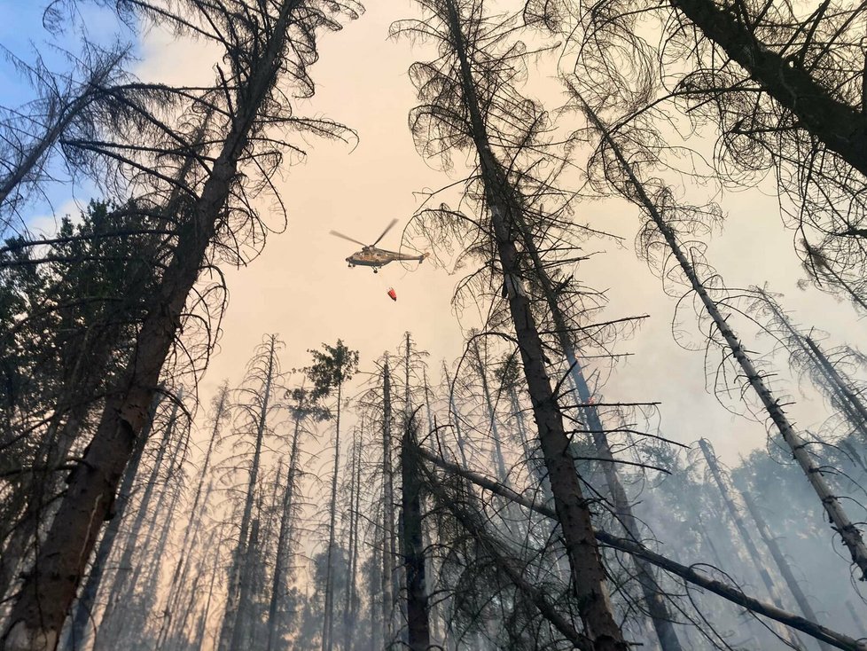 Požár lesa v Národním parku České Švýcarsko u Hřenska, 24. července 2022, Děčínsko.