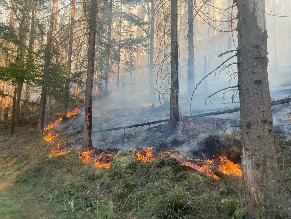 Požár lesa v Národním parku České Švýcarsko u Hřenska, Děčínsko (24. července 2022)