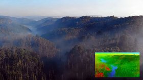 Z nebe se zdá, že lesy v Českém Švýcarsku už nehoří: Hrozbu ale skrývají ukrytá ohniska!