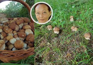 Jitka Krupková jezdí houbařit na Pardubicko.