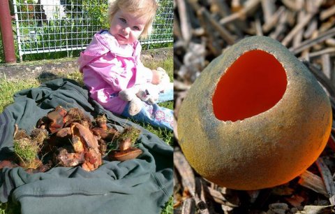 Opravdová houbařská sezóna vypukne až za měsíc: Hřiby rostou už teď!