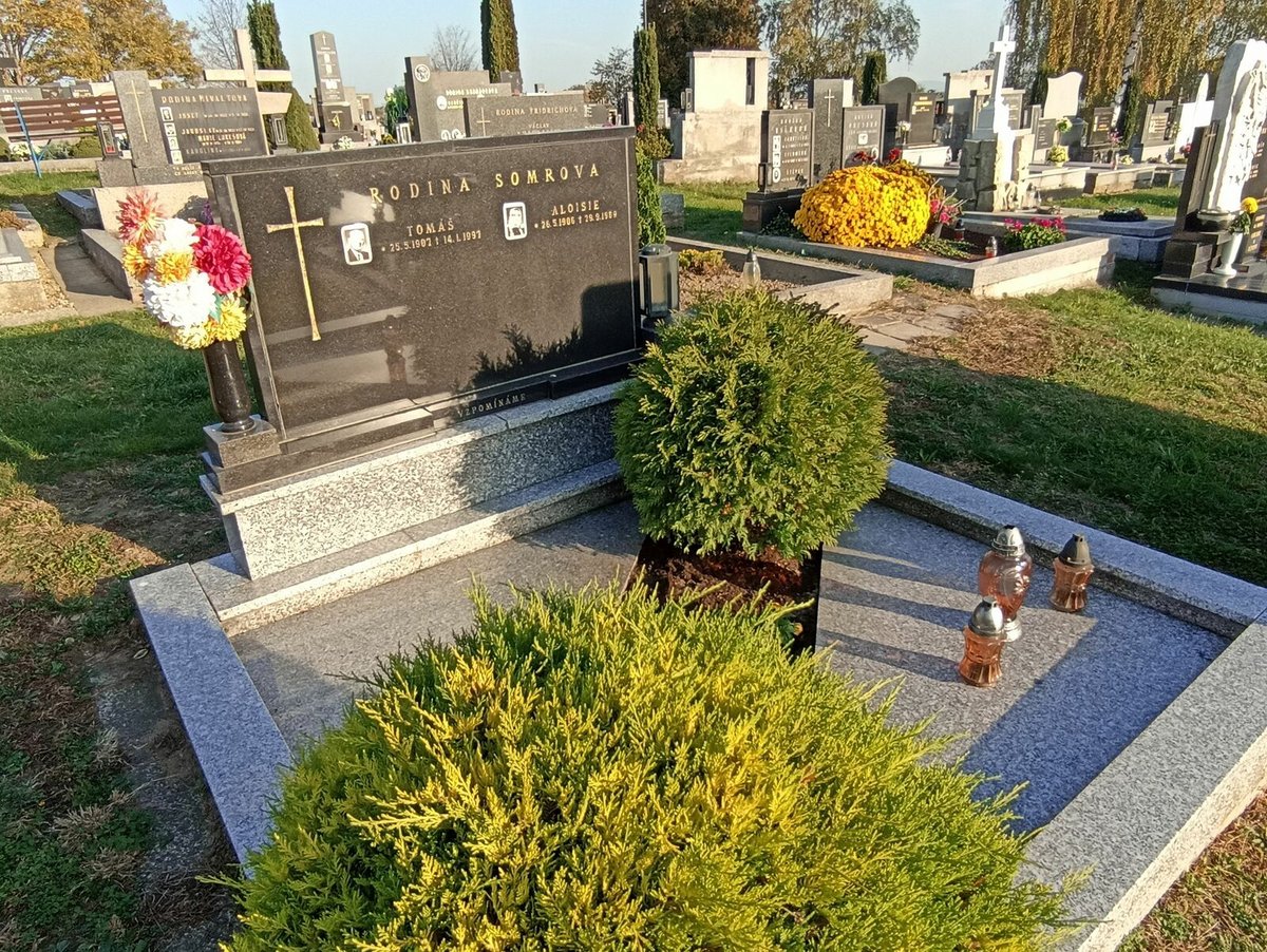 Hrob Josefa Somra