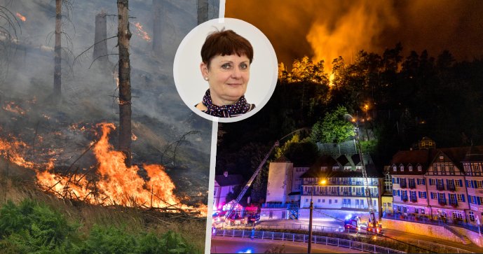 ŽIVĚ: Ministryně Hubáčková o apokalypse v Českém Švýcarsku. Zasáhne do turismu?