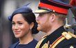 Vévodkyně Meghan a princ Harry