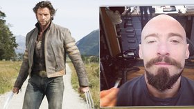 Z Wolverina se stal Profesor X: Fešák Hugh Jackman si oholil hlavu!