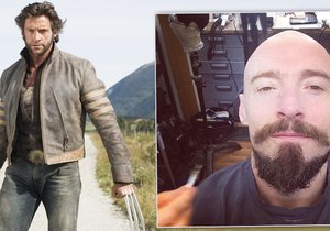 Hugh Jackman si kvůli nové roli oholil hlavu.