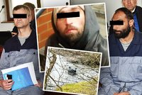 Vyvrhli ho jako zvíře! Uřízli mu hlavu i genitálie: Otřesná vražda muže (†32) v Plzni