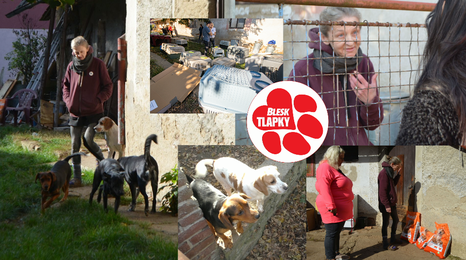 Ženy z Hulic, které namnožily na 60 psů a pak jimi zahltily útulky, už zase mají smečku 