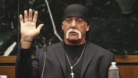 Wrestler Hulk Hogan u soudu